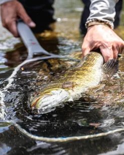 New Daymaker Boat Net - Short Handle Fishing Nets